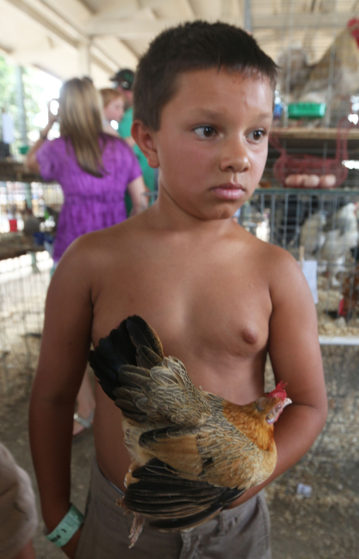 Second day of Kings fair Kids and cows